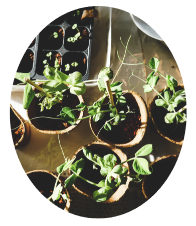 스크린샷 2025-10-29 오후 10.09.13