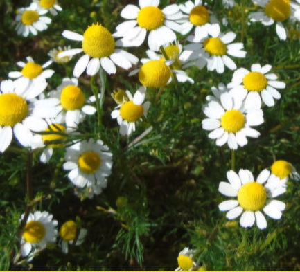 스크린샷 2025-10-29 오후 10.13.45