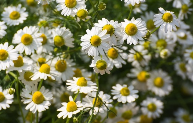 스크린샷 2025-10-29 오후 10.26.08